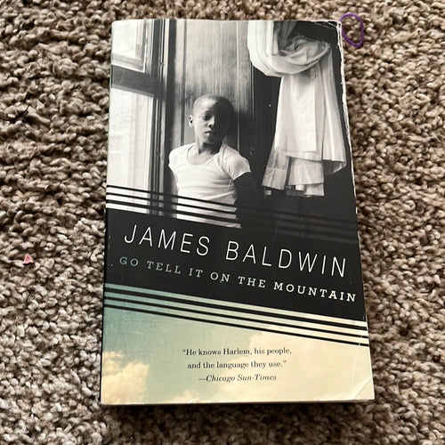 Go Tell It On The Mountain by James Baldwin