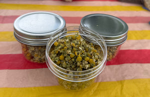 Dried Chamomile Herb
